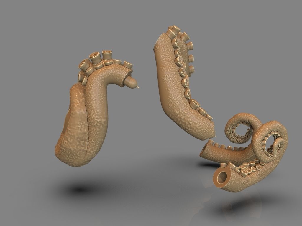 Lovecraft Tentacles Creature Holder 3D print model_13