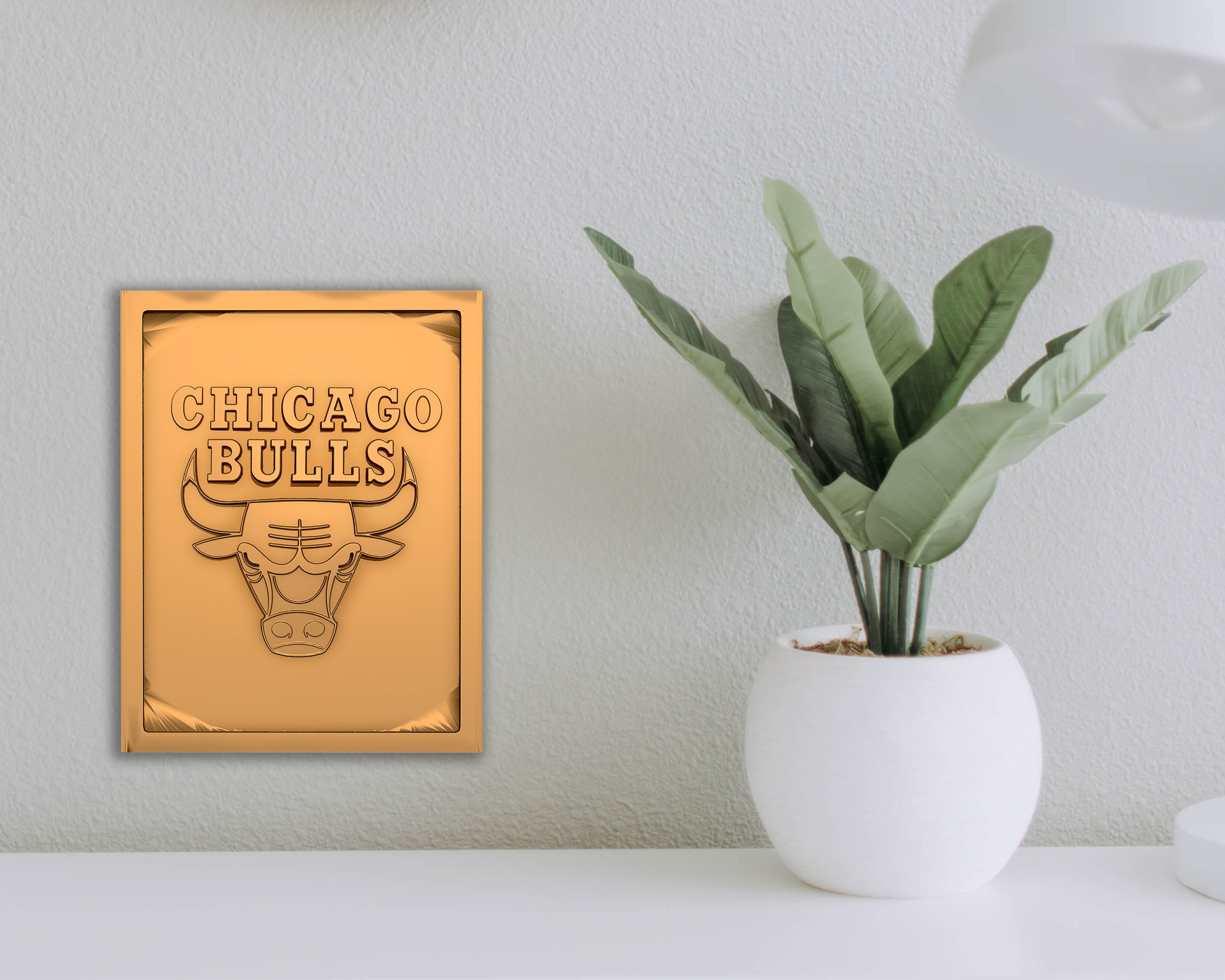 Chicago Bulls Logo Relief  3D print model_2