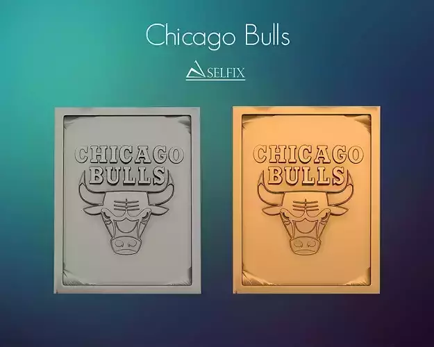 Chicago Bulls Logo Relief  3D print model