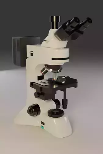 Optical Microscope