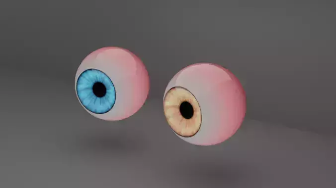 Human Eye
