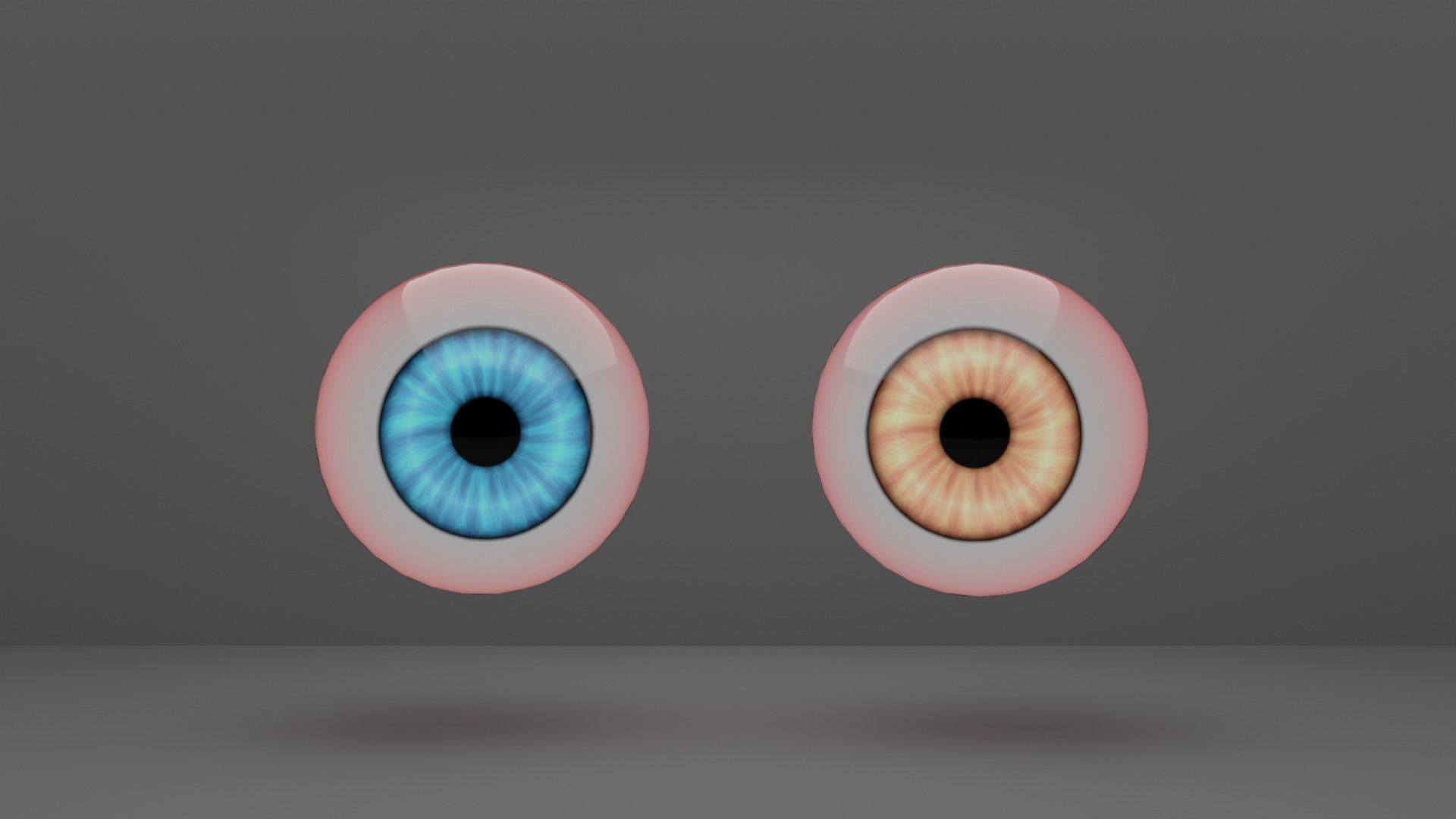 Human Eye 3D model_2