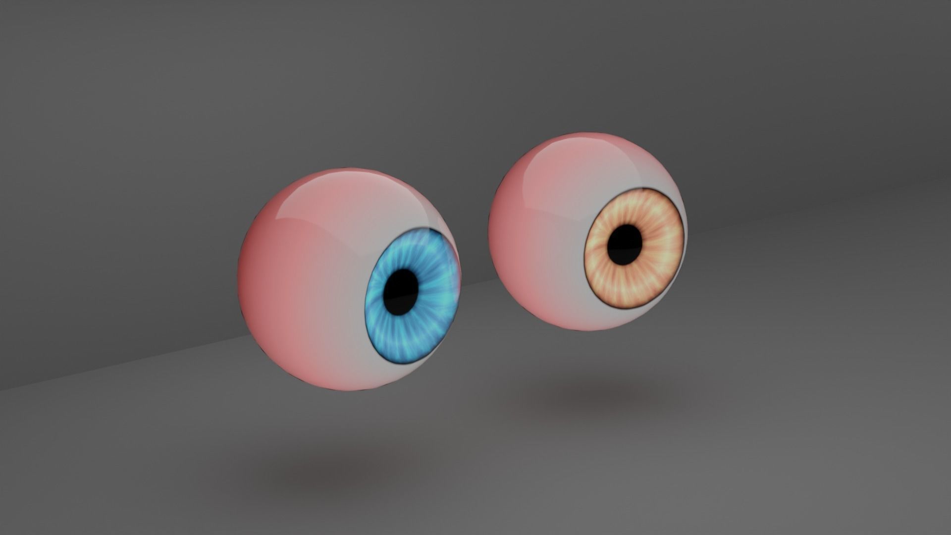 Human Eye 3D model_1
