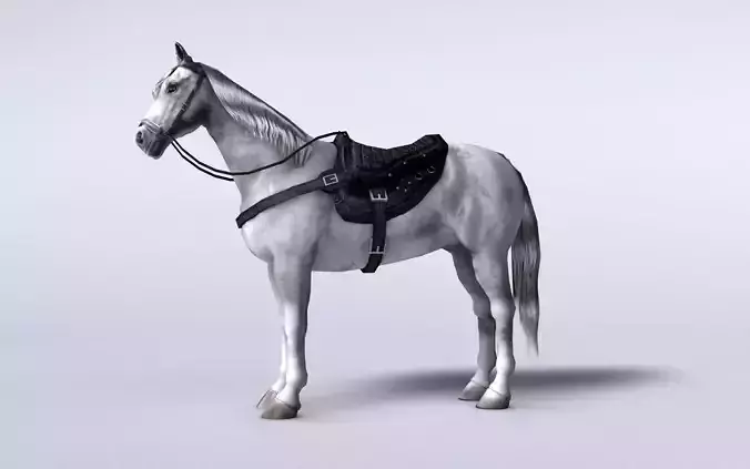 White horse with saddle and bags Low-poly 3D model