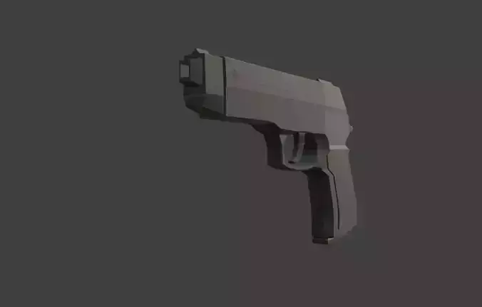 9 MM Handgun