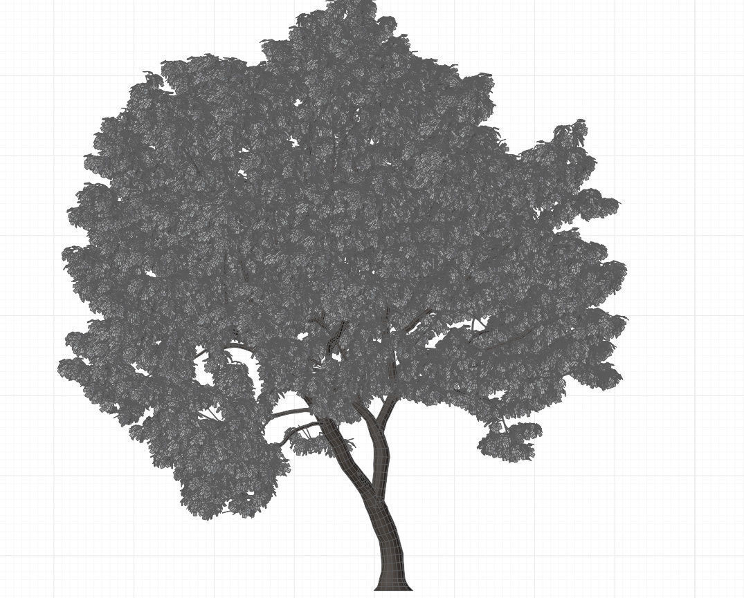 Generic tree 3D model_4