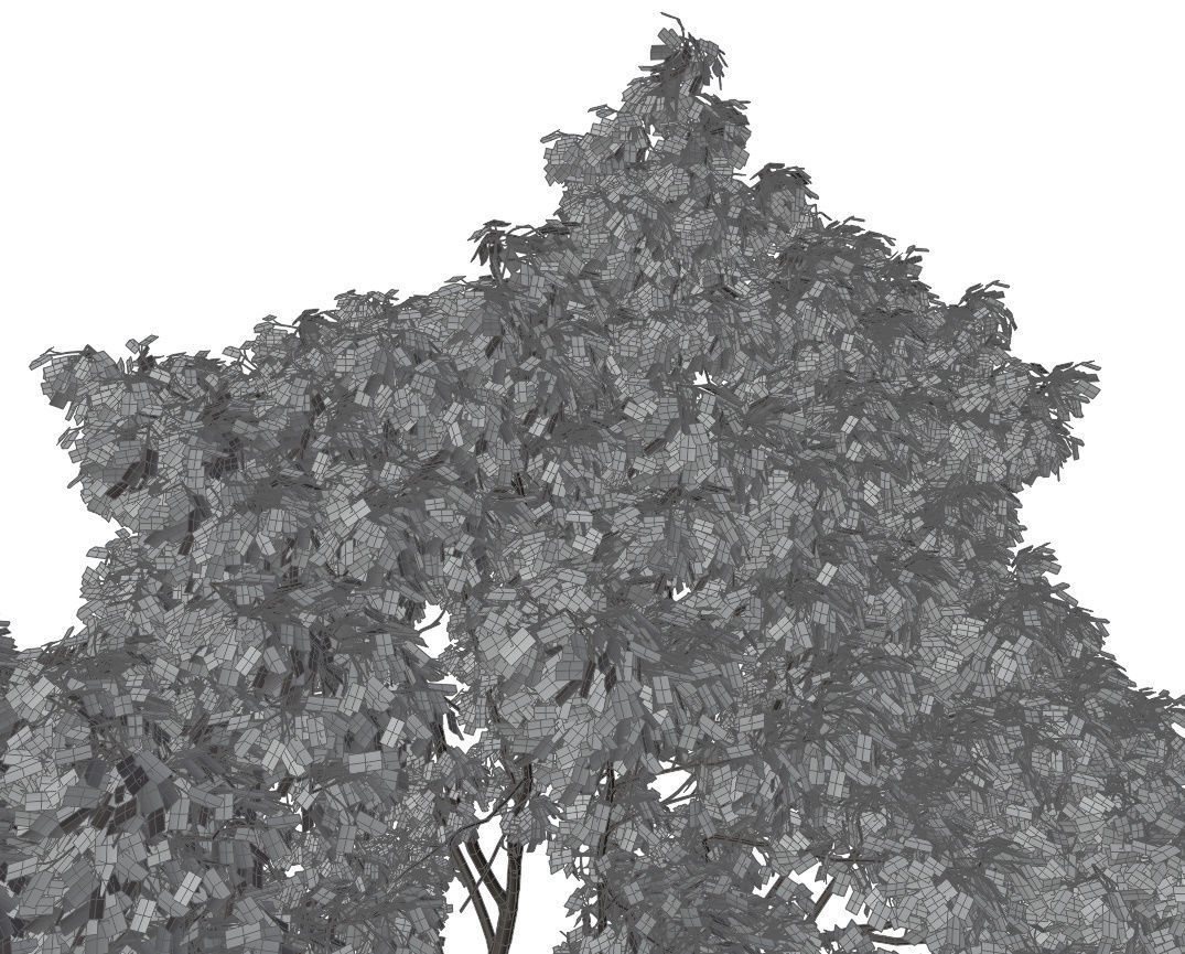 Generic tree 3D model_5