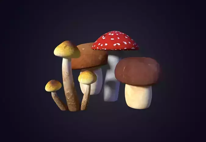 Mushrooms two