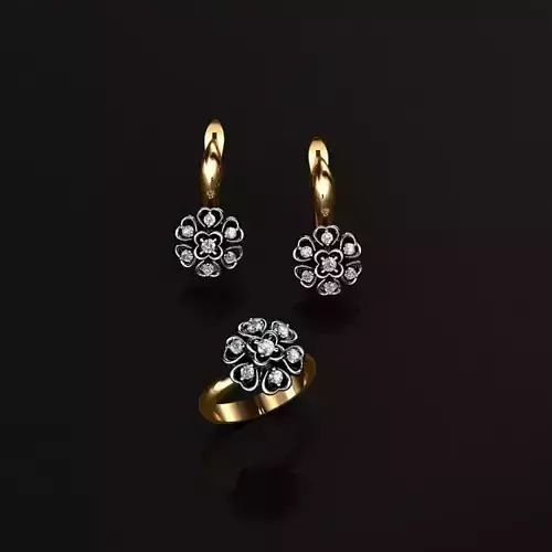 Ring and Earrings  3D print model