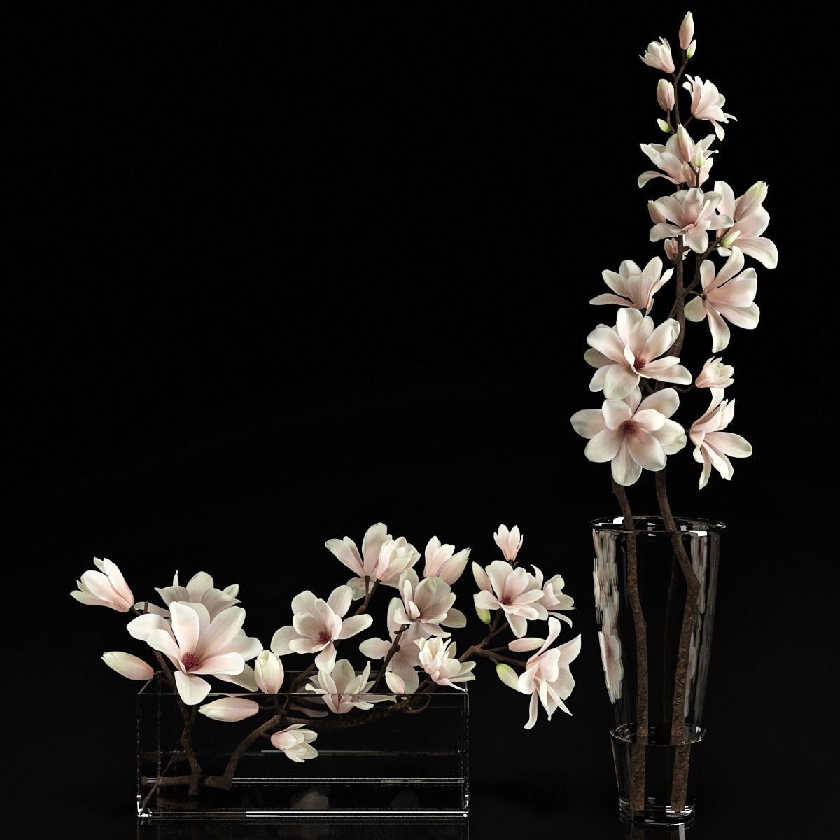 Magnolia 2 two vases 3D model_0