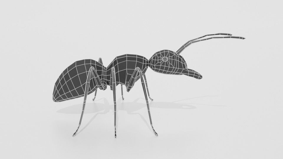 Low Poly Cartoon Ant Low-poly 3D model_14