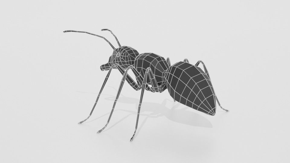 Low Poly Cartoon Ant Low-poly 3D model_11