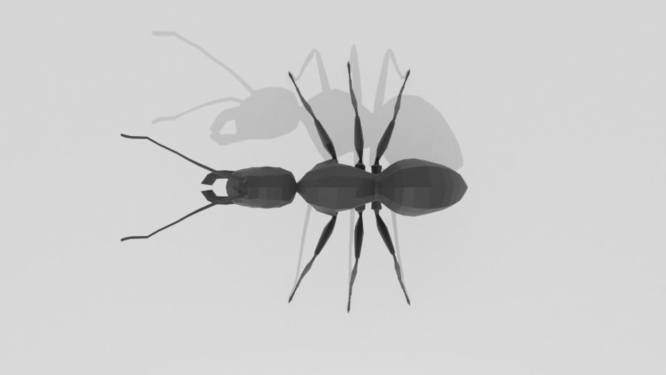 Low Poly Cartoon Ant Low-poly 3D model_8