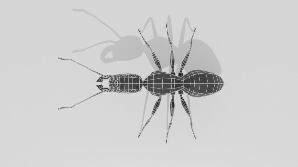 Low Poly Cartoon Ant Low-poly 3D model_17