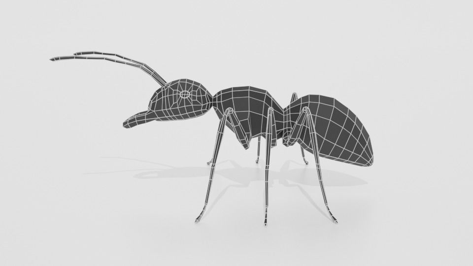 Low Poly Cartoon Ant Low-poly 3D model_10