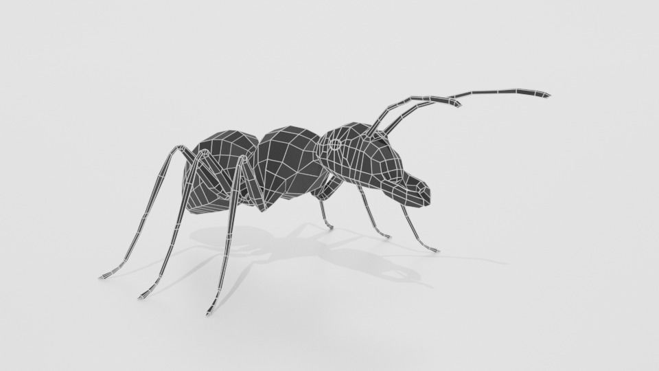 Low Poly Cartoon Ant Low-poly 3D model_15