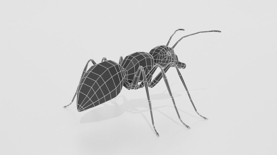 Low Poly Cartoon Ant Low-poly 3D model_13