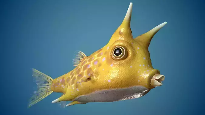 Fish Lactoria cornuta Lowpoly Low-poly 3D model