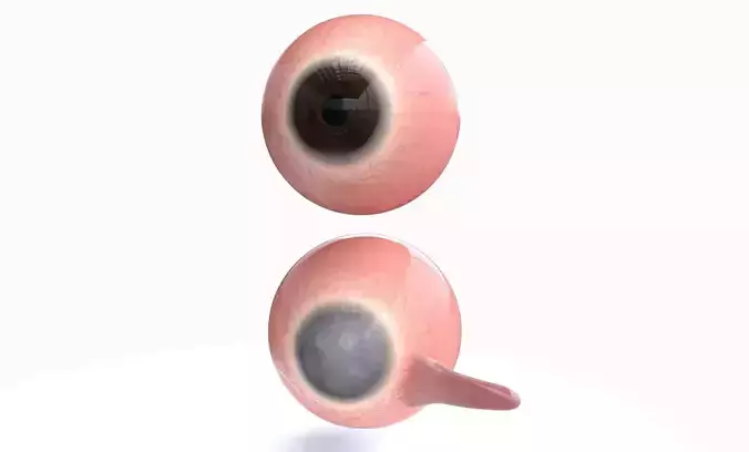 REALISTIC EYE AND BLIND EYE EFFECT 3D model