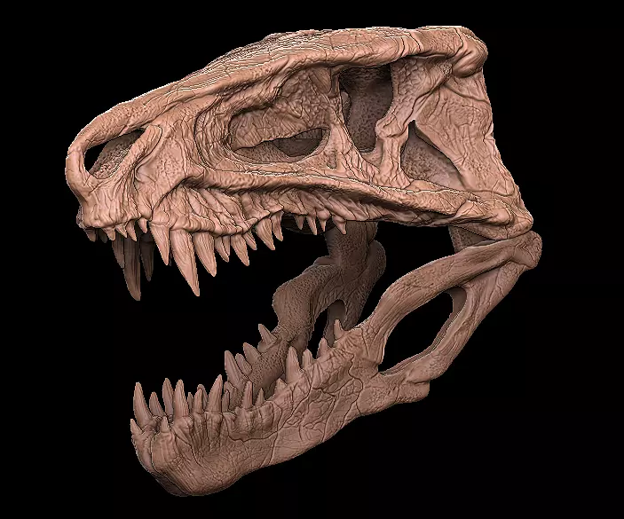 postosuchus skull 3D model_0