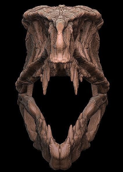 postosuchus skull 3D model_3