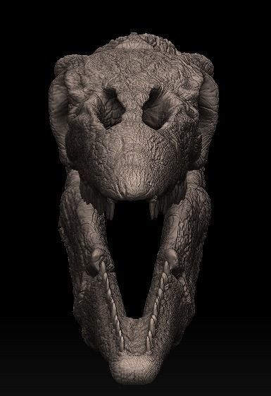 mosasaurus skull 3D model_2