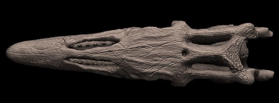 mosasaurus skull 3D model_1