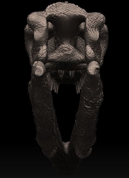 mosasaurus skull 3D model_4