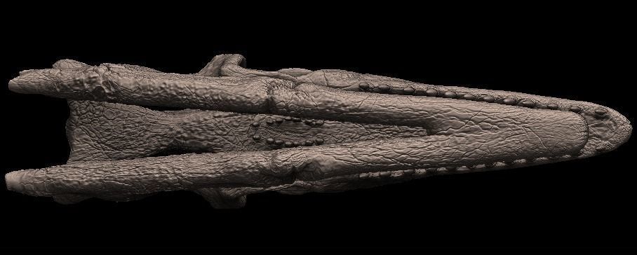 mosasaurus skull 3D model_5