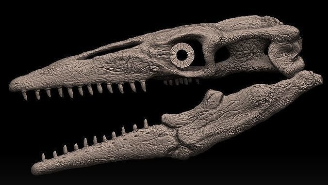mosasaurus skull 3D model