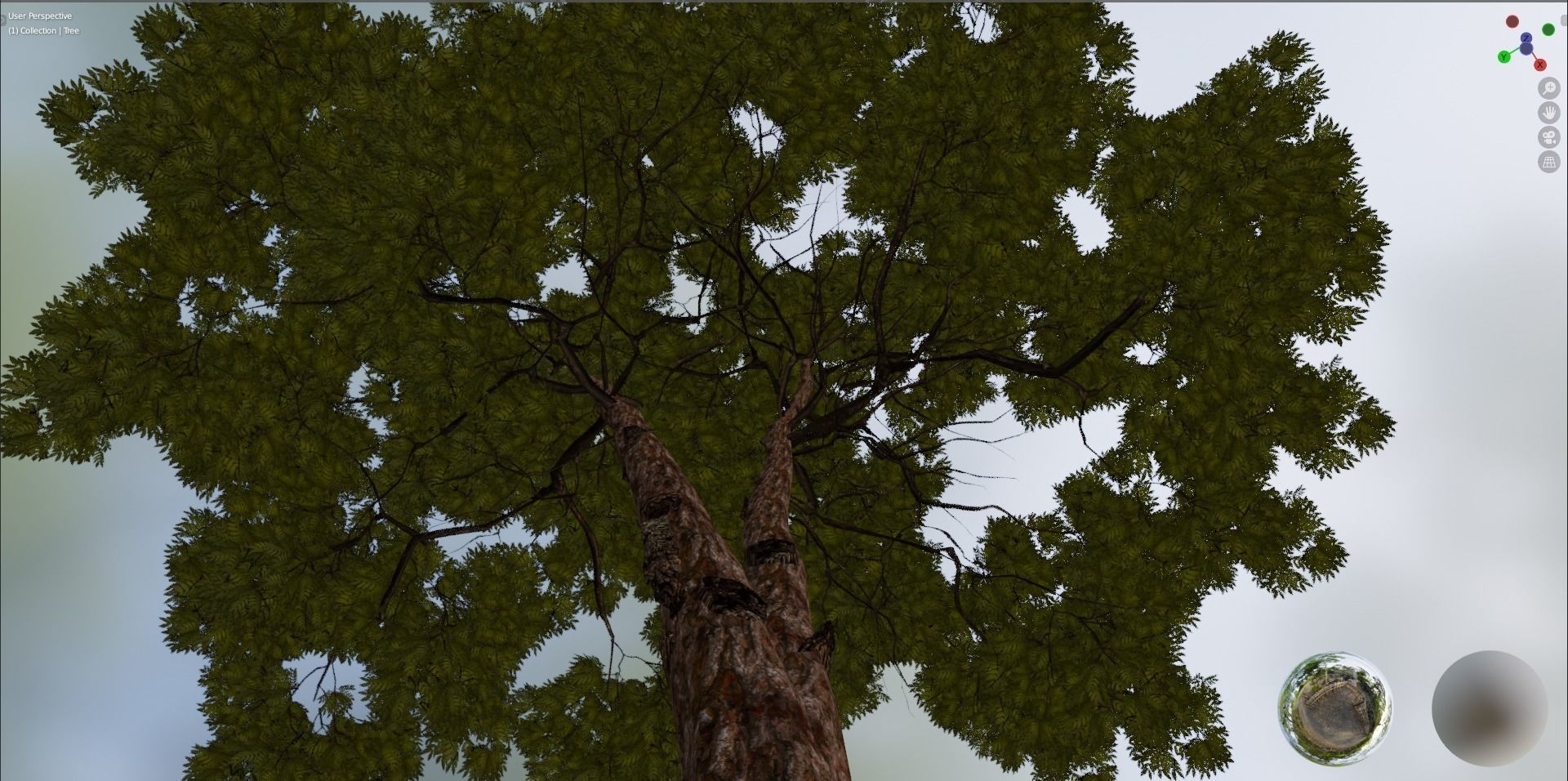 Tree 1 Lowpoly 3D model_11