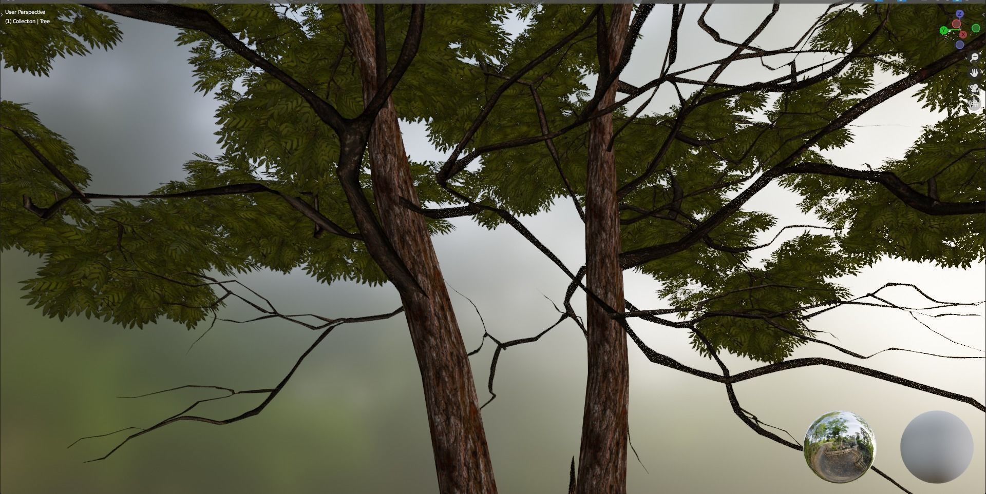 Tree 1 Lowpoly 3D model_13