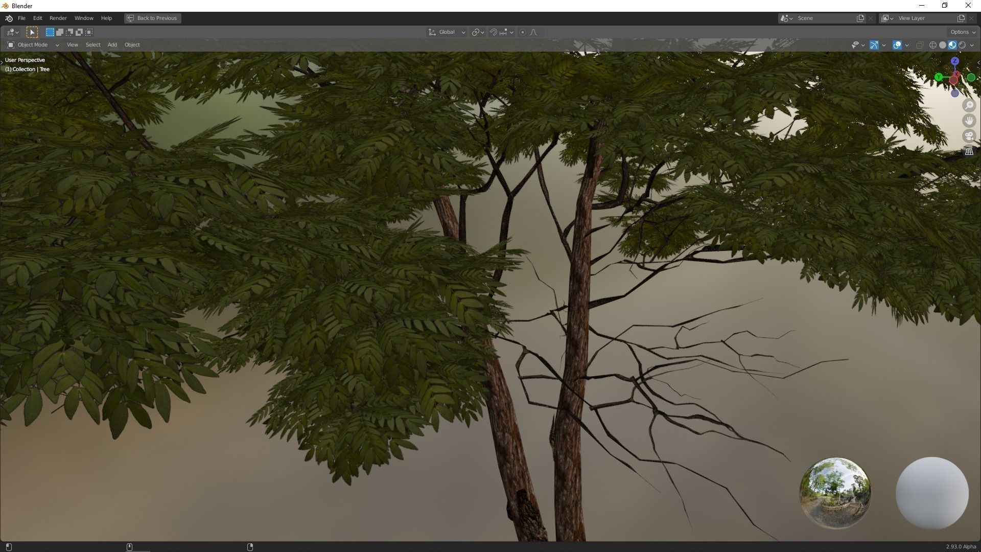 Tree 1 Lowpoly 3D model_12