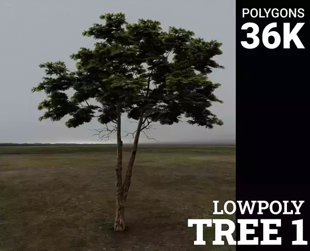 Tree 1 Lowpoly  3D model