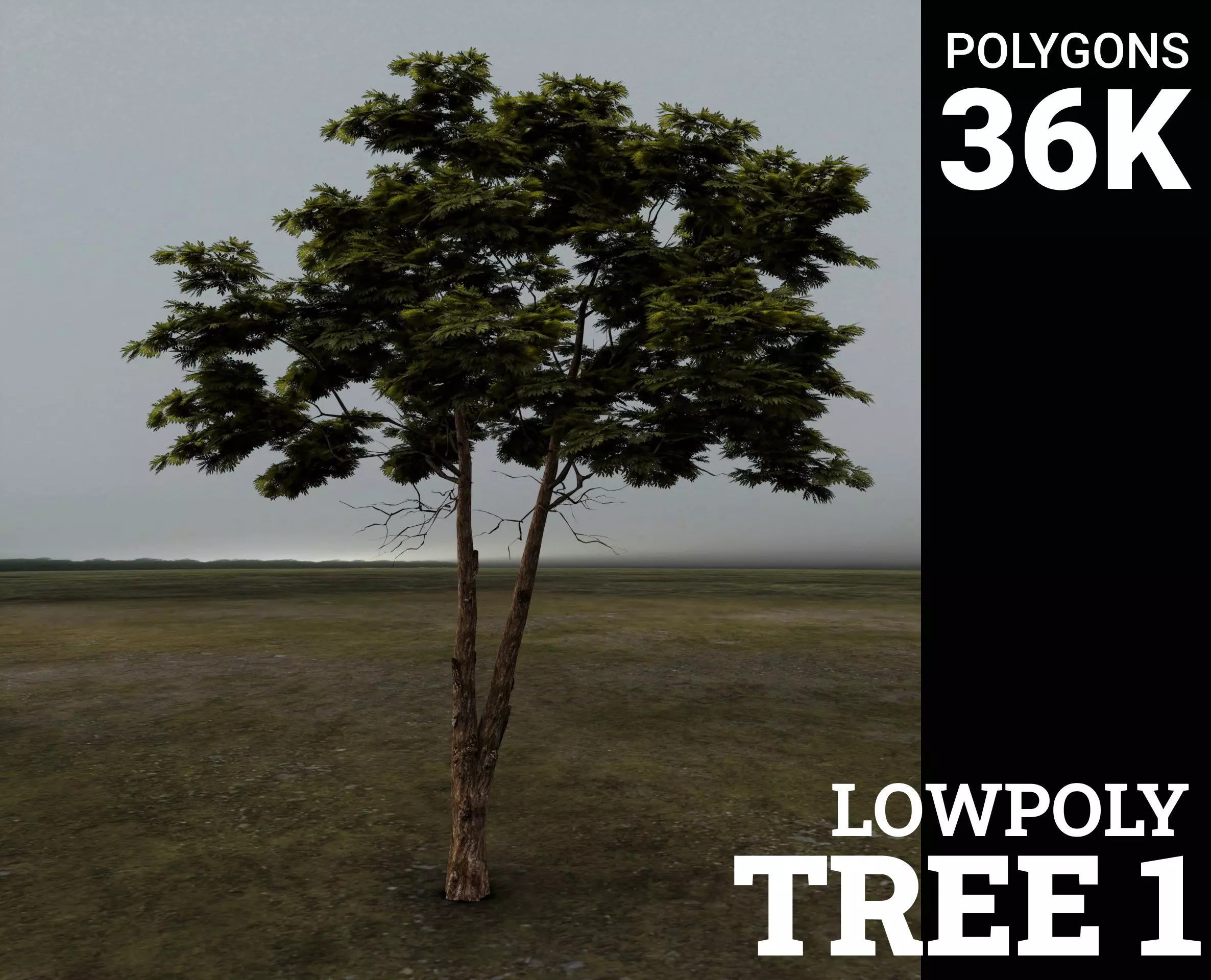Tree 1 Lowpoly 3D model_0