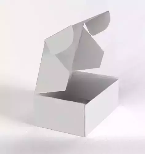 FOOD BOX CLOSED AND OPEN