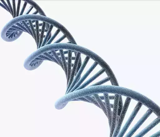 3D DNA Model High-Poly strand