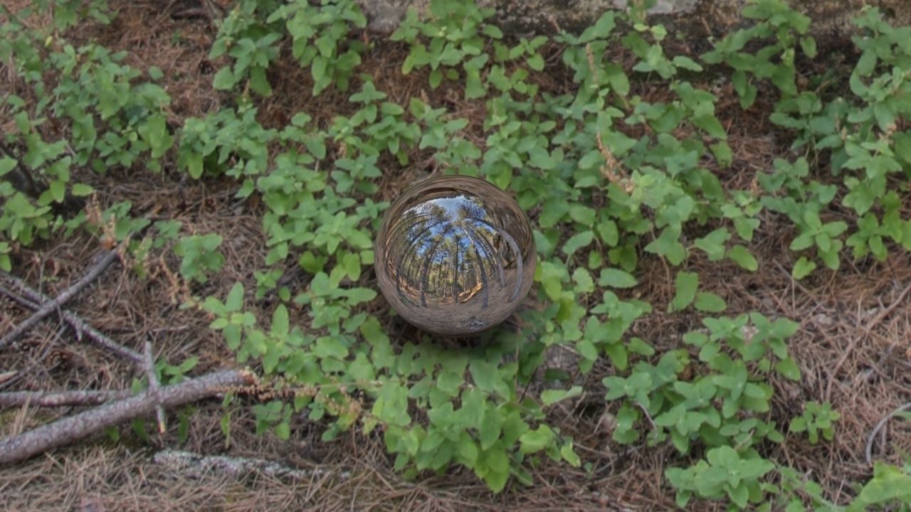 HDR FOREST ROCK 1 3D model_3