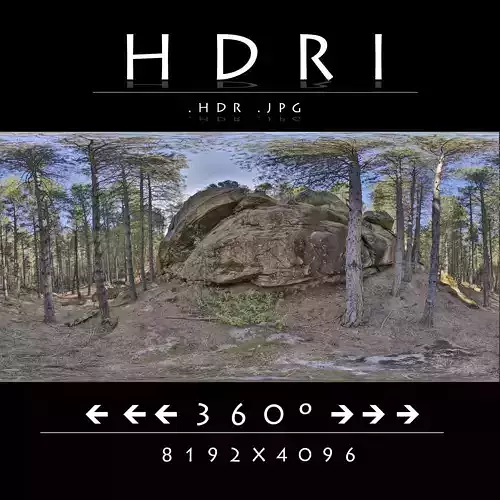HDR FOREST ROCK 1