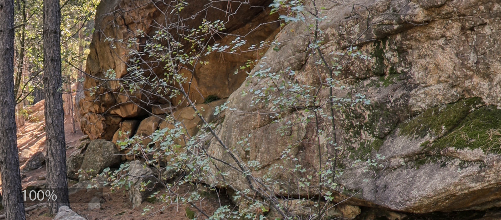 HDR FOREST ROCK 1 3D model_2