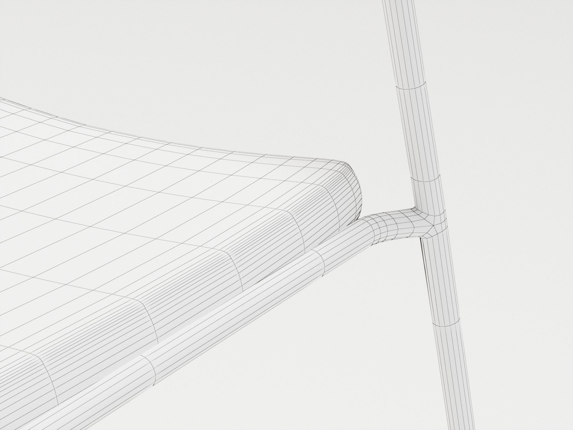 Scab Lisa Low-poly 3D model_17