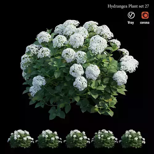 Hydrangea Plant set 27 3D model