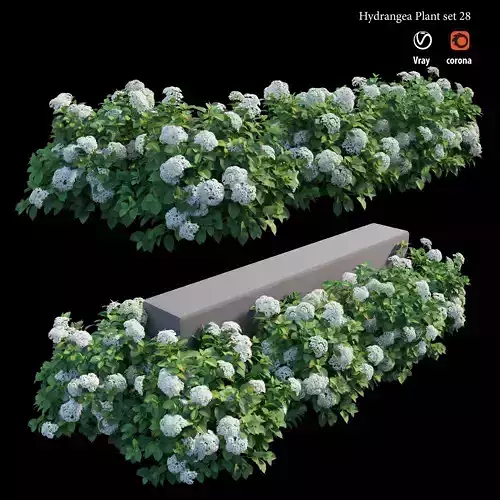 Hydrangea Plant set 28 3D model