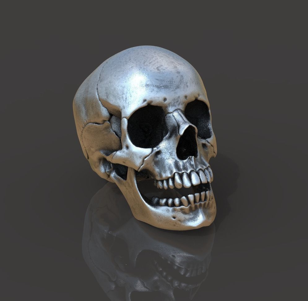Human skull 3D print model