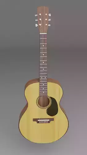 Acoustic guitar