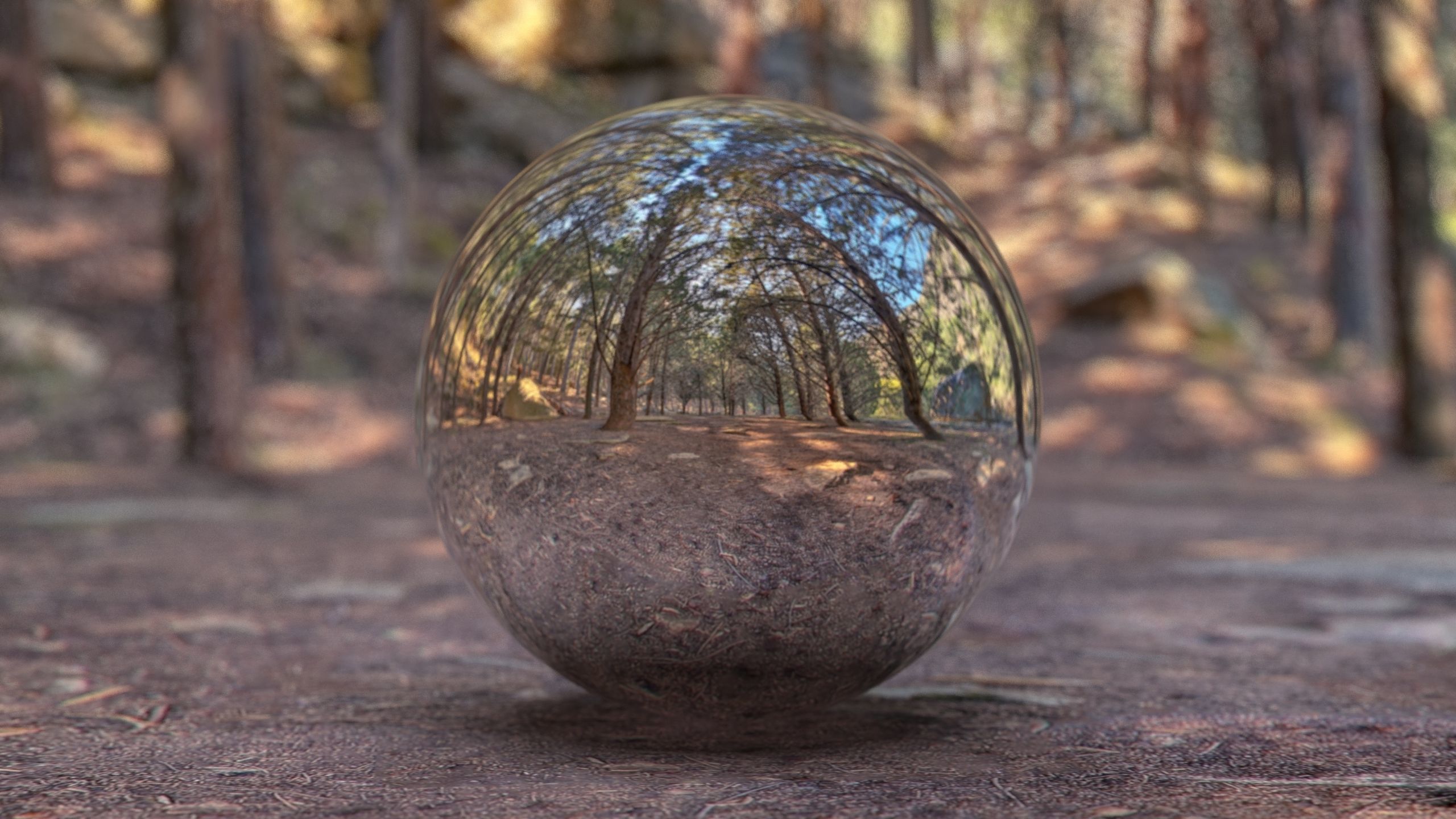 HDR FOREST PATH 2 3D model_3