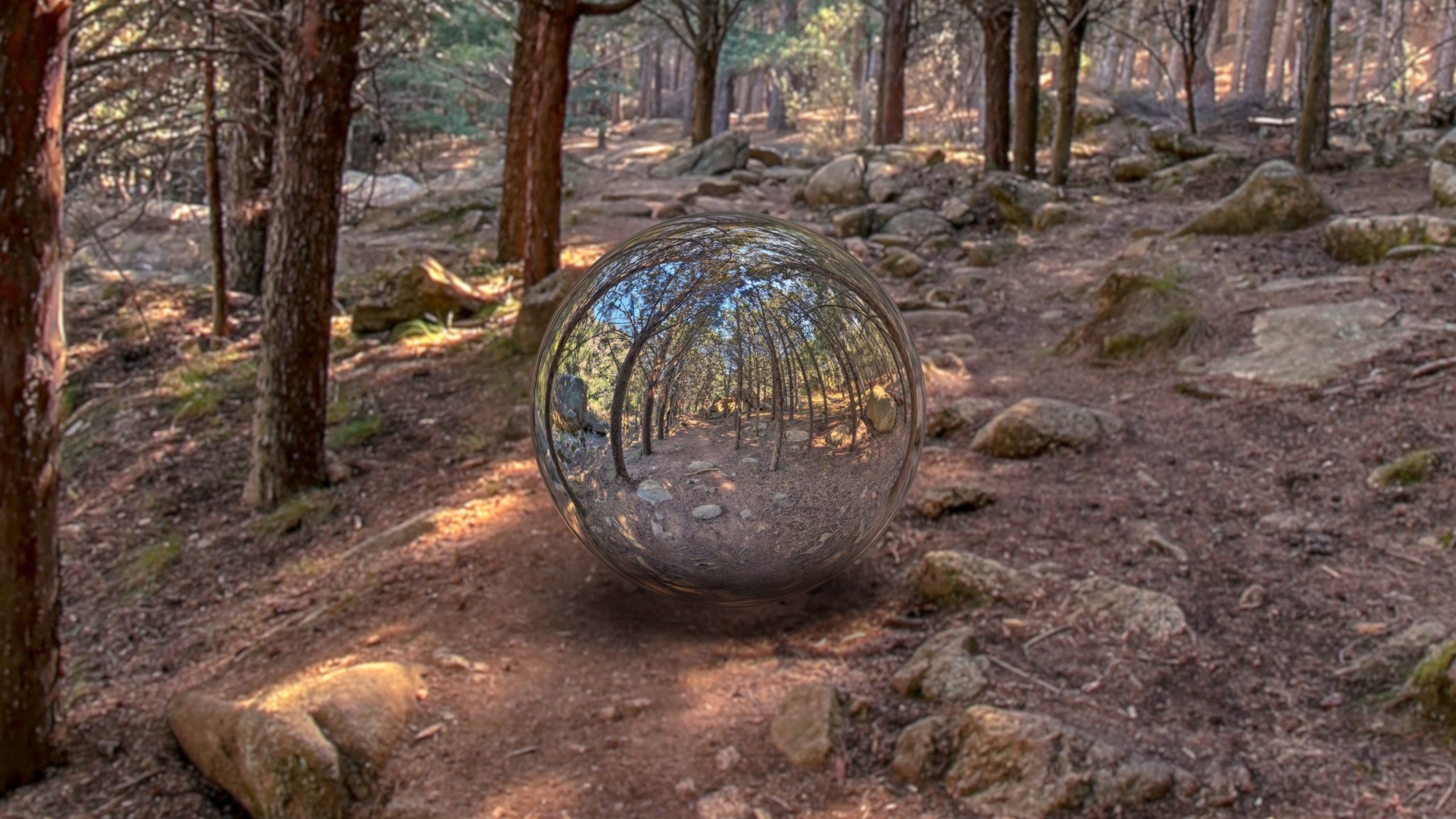 HDR FOREST PATH 2 3D model_2