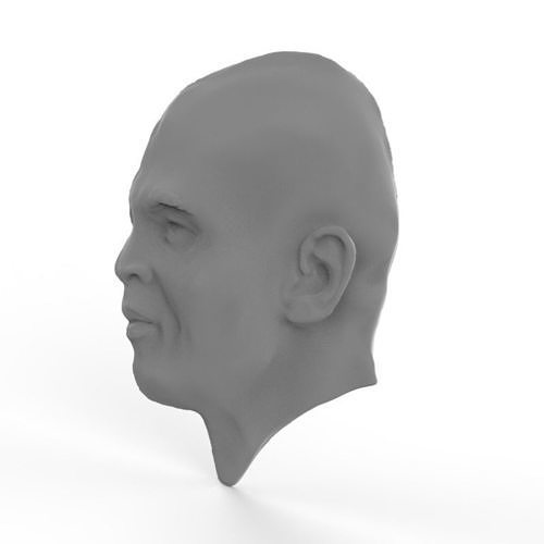 Mike Tyson head 3D print model