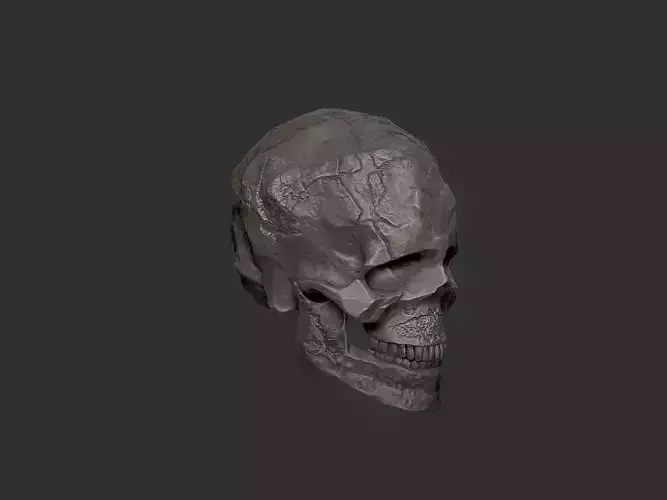 skull character stylized
