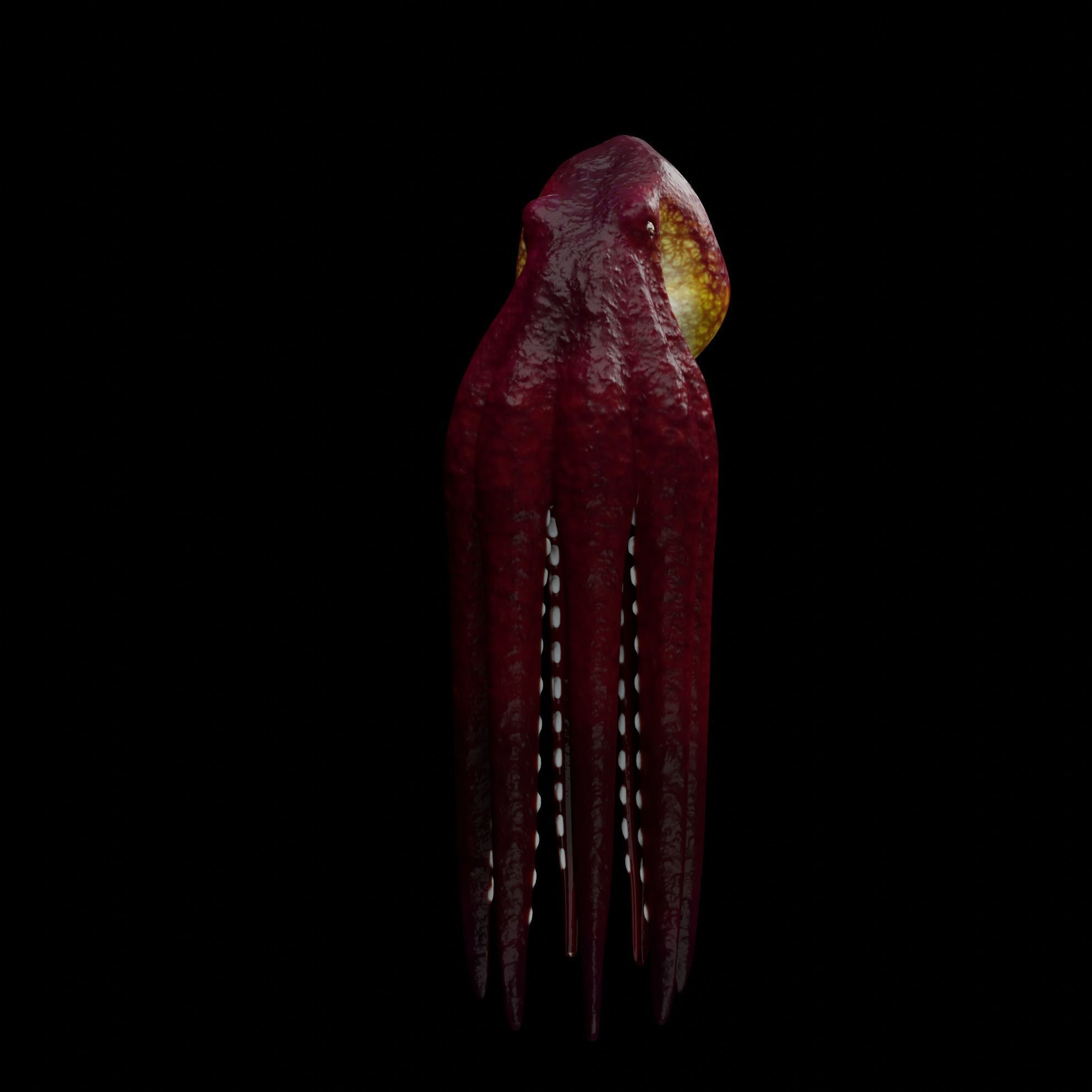 Animated Octopus 3D model_13